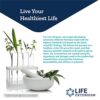 Life Extension Creatine Capsules – For Healthy Muscle Performance - Energy Support Supplement Non-GMO, Gluten Free – 120 Capsules - Image 2